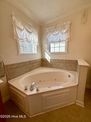 1045 Mascot Lane, Williamston, NC 27892