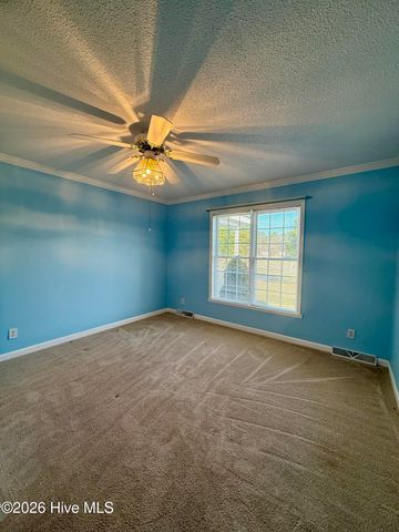 1045 Mascot Lane, Williamston, NC 27892