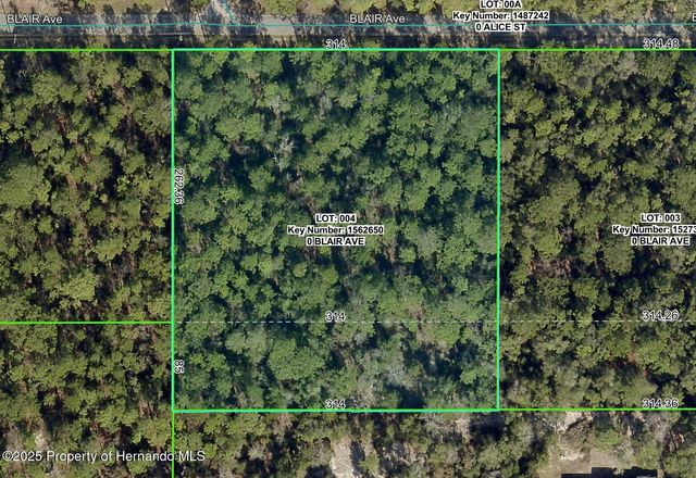 Lot 4+ Blair Avenue, Brooksville, FL 34604