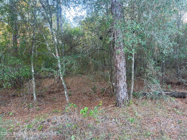 Lot 4+ Blair Avenue, Brooksville, FL 34604