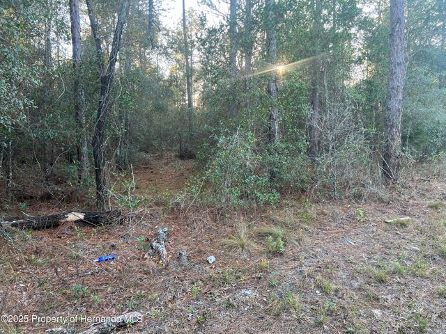 Lot 4+ Blair Avenue, Brooksville, FL 34604