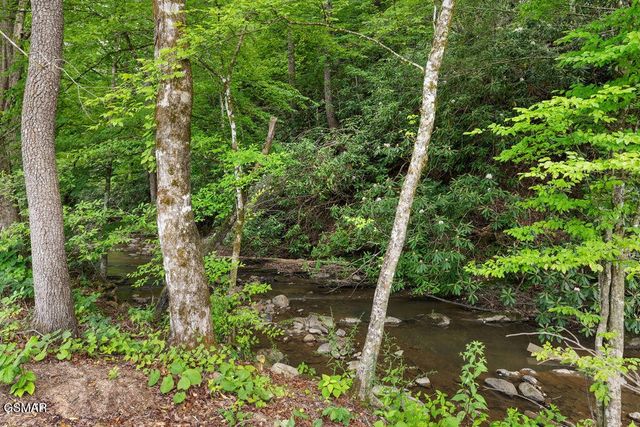 2215 Sawmill Cv Drive, Sevierville, TN 37862