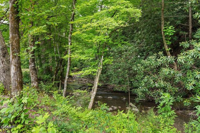 2215 Sawmill Cv Drive, Sevierville, TN 37862