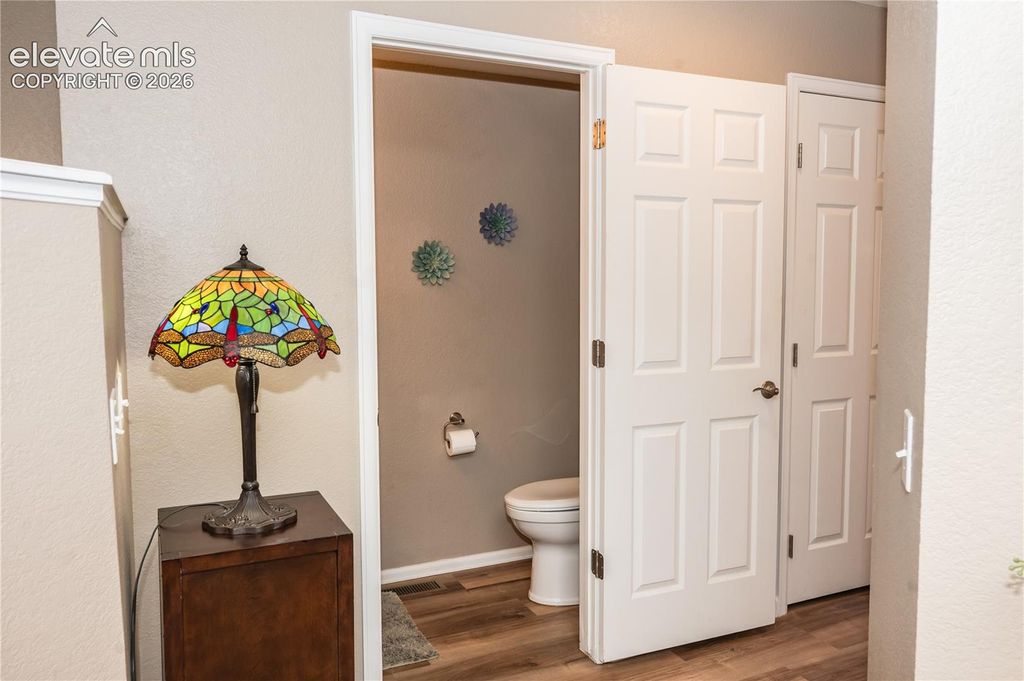 1742 Victorian Point, Colorado Springs, CO 80905 — photo 3