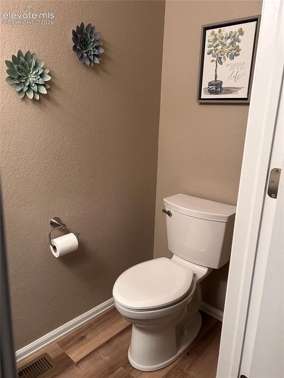 1742 Victorian Point, Colorado Springs, CO 80905 — photo 5