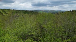 Map 8 Lot 29 Martin Road, Washington, NH 03280