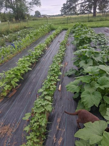 837 County Road 340, West Plains, MO 65775