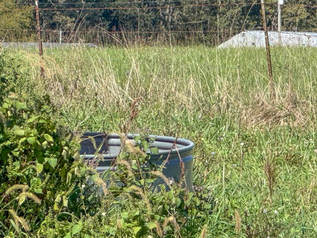 837 County Road 340, West Plains, MO 65775