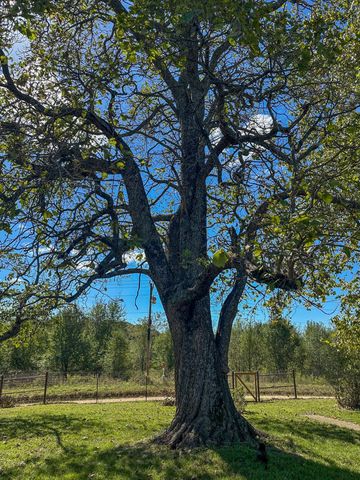 837 County Road 340, West Plains, MO 65775