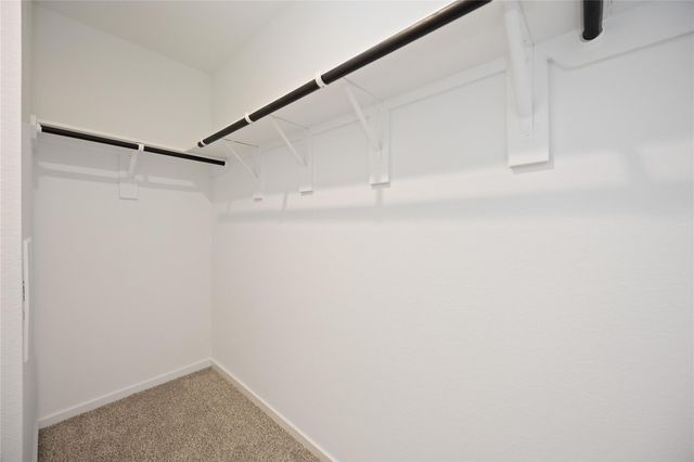 5208 Purple Beebalm Way, Houston, TX 77048