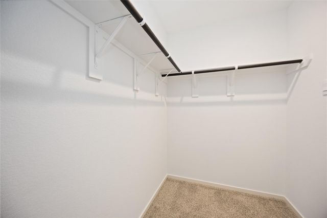 5208 Purple Beebalm Way, Houston, TX 77048