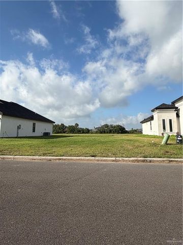 1810 Foxtail Street, Donna, TX 78537