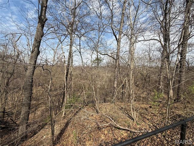 216 Gran Vista Drive, Festus, MO 63028