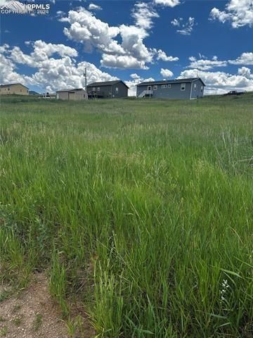 1298 Will Scarlet Drive, Divide, CO 80814