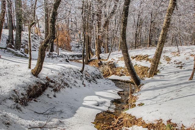 2038 Santa Fe Trl, Goodlettsville, TN 37072