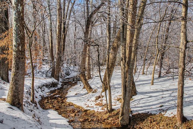 2038 Santa Fe Trl, Goodlettsville, TN 37072