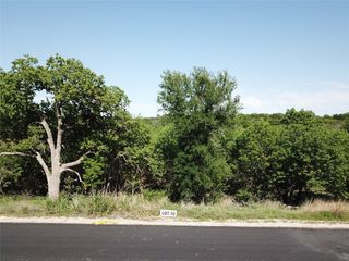 157 Hanna Oak Court, Bridgeport, TX 76426