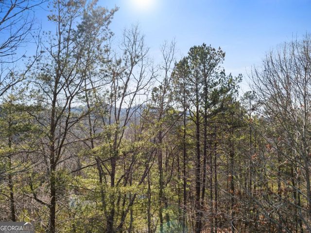 1140 Knollwood Road, Mineral Bluff, GA 30559