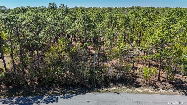 12 Whitewood Court, Homosassa, FL 34446