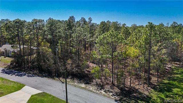 12 Whitewood Court, Homosassa, FL 34446