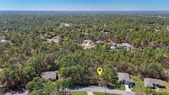 12 Whitewood Court, Homosassa, FL 34446