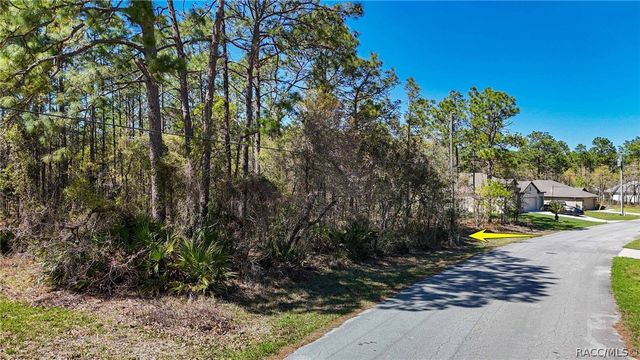 12 Whitewood Court, Homosassa, FL 34446
