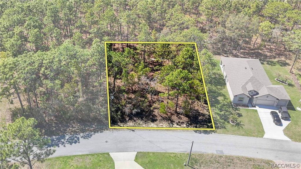 12 Whitewood Court, Homosassa, FL 34446