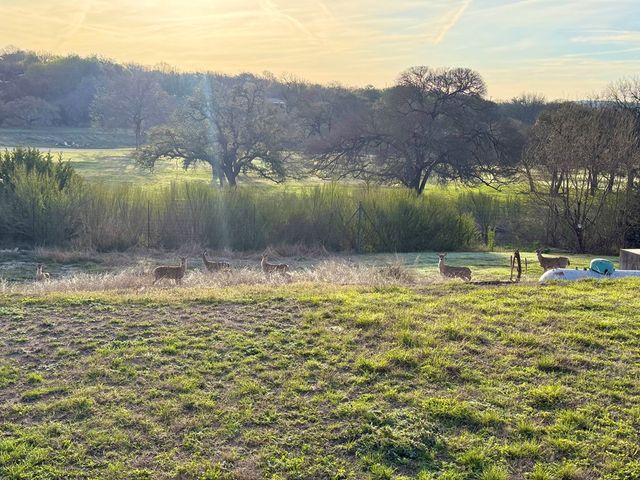 219 Wedgewood Lane, Kerrville, TX 78028