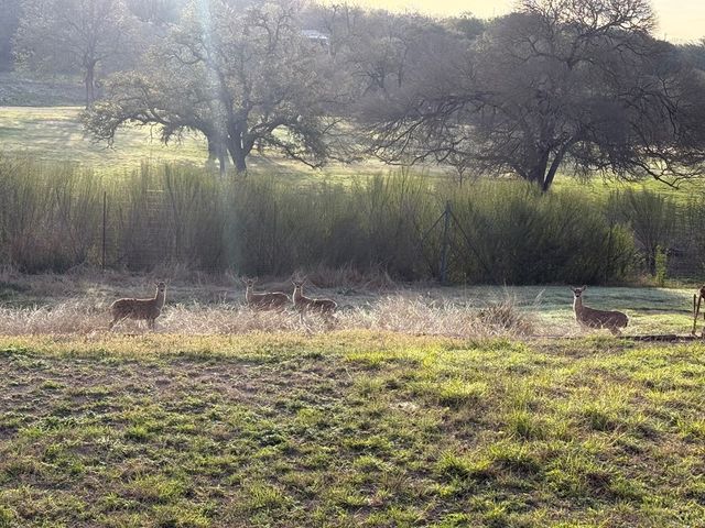 219 Wedgewood Lane, Kerrville, TX 78028