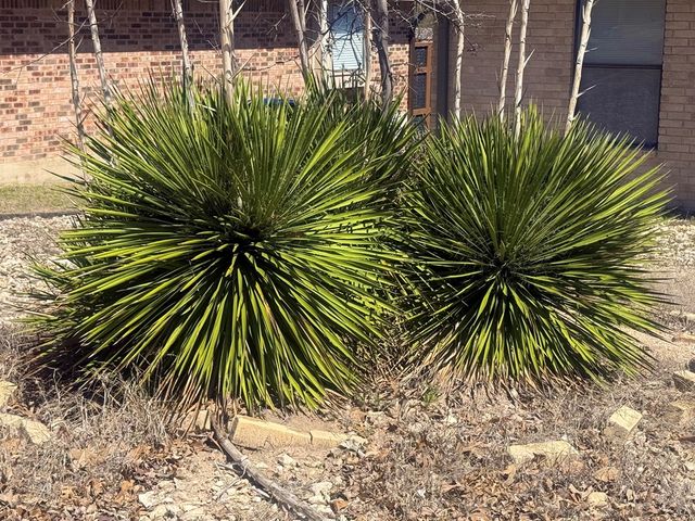 219 Wedgewood Lane, Kerrville, TX 78028