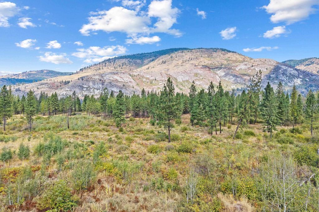 TBD Hwy 25 N, Kettle Falls, WA 99141 photo 5