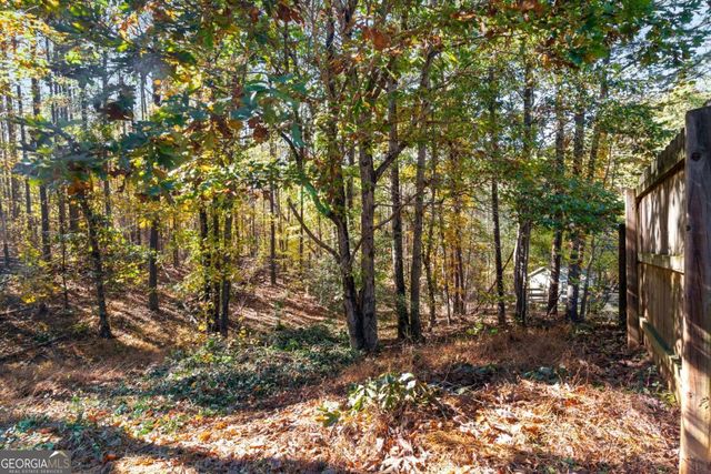 204 Red Fox Court, Canton, GA 30114