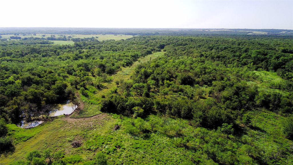 TBD LCR 655, Thornton, TX 76687