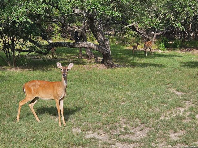 168 Danube Pass, Boerne, TX 78006