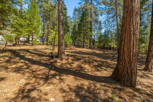 2219 Pardee Dr, Arnold, CA 95223