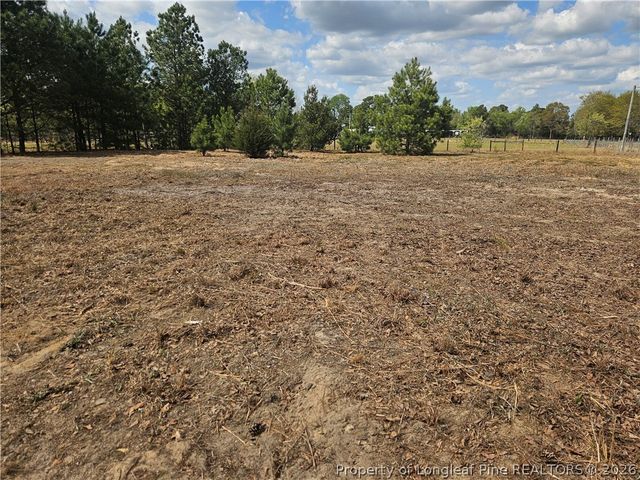 389 Corner Oaks Drive, St Pauls, NC 28384