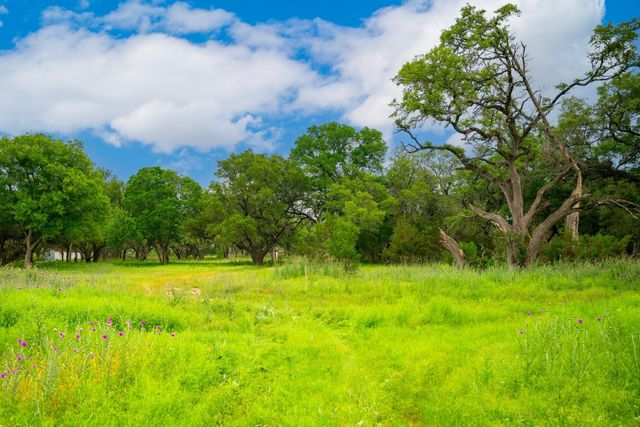 1718 Paradise PKWY, Canyon Lake, TX 78133