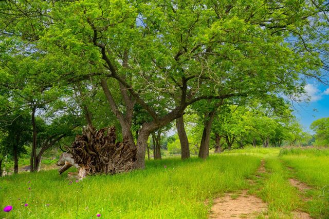 1718 Paradise PKWY, Canyon Lake, TX 78133