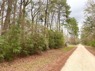 TBD Pine Valley Drive, Shepherd, TX 77371