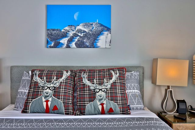 120 Killington Center Drive 531 And 532, Killington, VT 05751