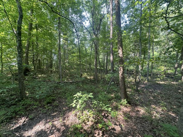 0 S Pinson Dr, White House, TN 37188