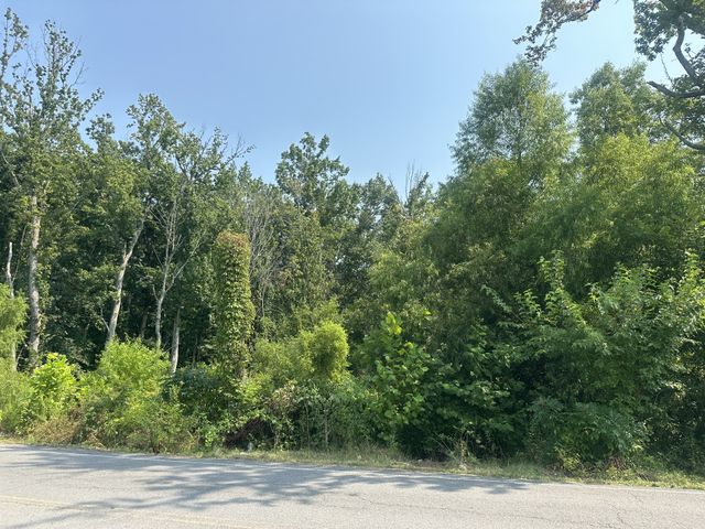0 S Pinson Dr, White House, TN 37188