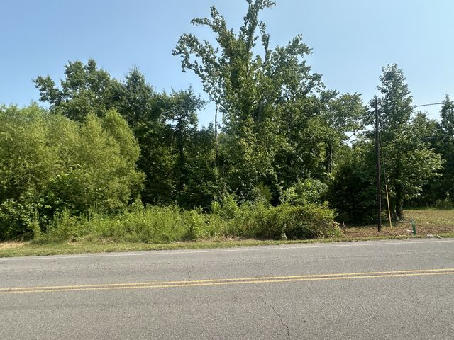 0 S Pinson Dr, White House, TN 37188