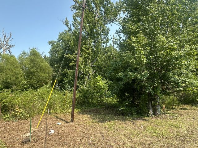 0 S Pinson Dr, White House, TN 37188