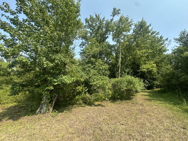 0 S Pinson Dr, White House, TN 37188