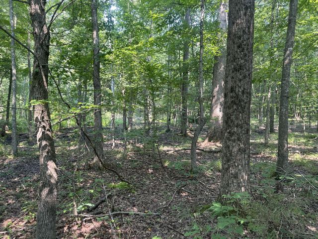 0 S Pinson Dr, White House, TN 37188