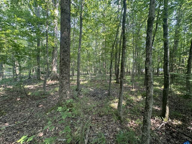 0 S Pinson Dr, White House, TN 37188