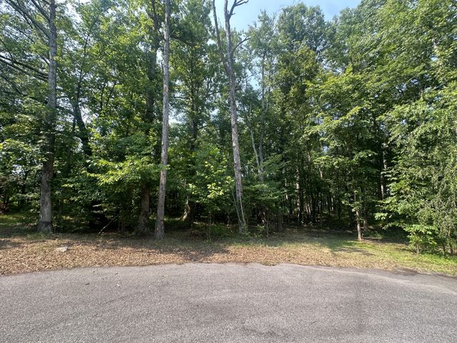 0 S Pinson Dr, White House, TN 37188