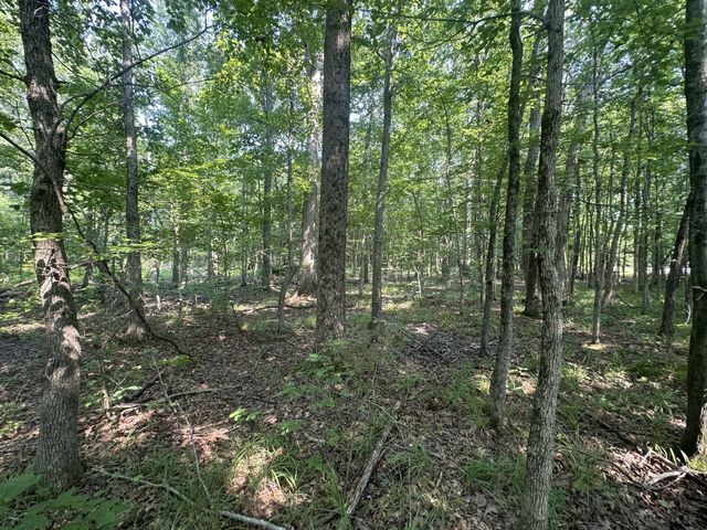 0 S Pinson Dr, White House, TN 37188