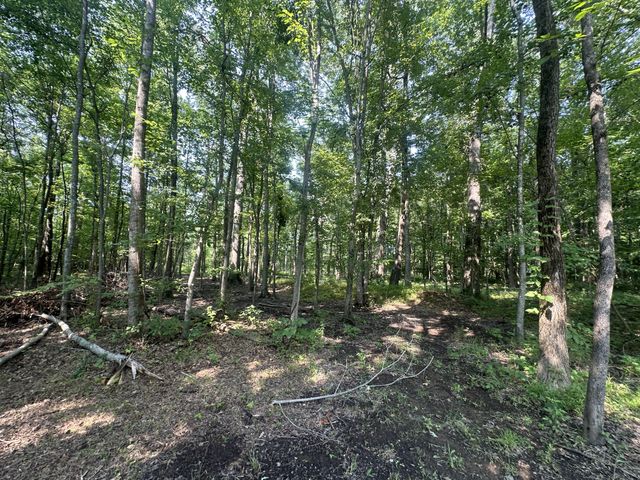 0 S Pinson Dr, White House, TN 37188